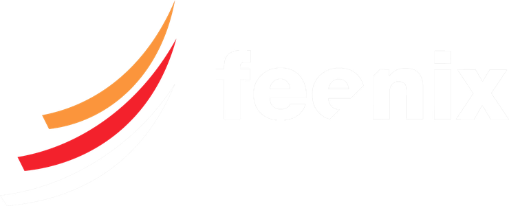 Feenix Payment